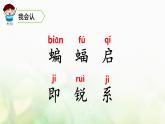 四年級(jí)語(yǔ)文上冊(cè)第二單元6蝙蝠和雷達(dá)教學(xué)課件新人教版