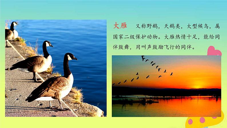 一年级语文上册第4单元课文11秋天第1课时课件新人教版06