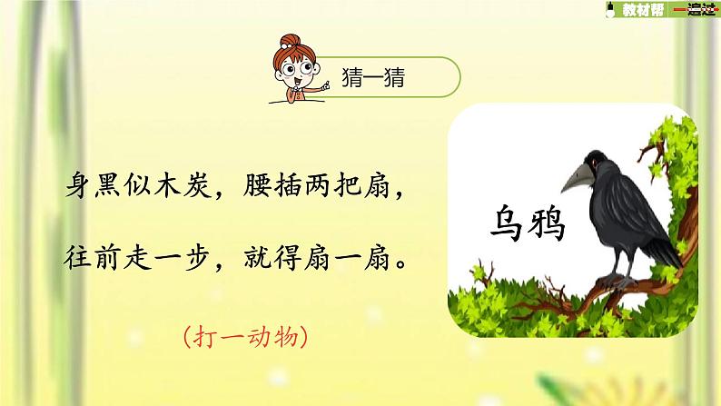 一年级语文上册第8单元课文413乌鸦喝水第1课时课件新人教版03