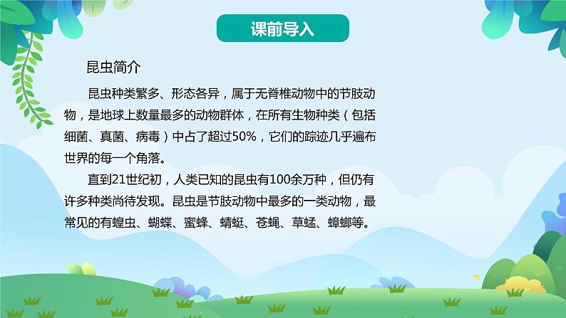 11.我是一只小虫子（课件）第5页
