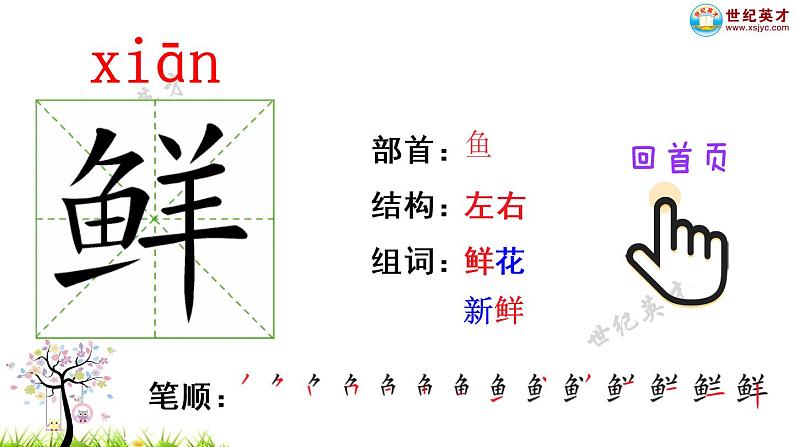 部编版二年级下册语文3 开满鲜花的小路（课件+教案+练习含答案）02