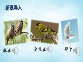 部編版 語(yǔ)文三年級(jí)上冊(cè) 23 父親、樹(shù)林和鳥(niǎo) 課件+視頻
