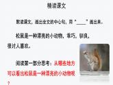 【教学课件】松鼠示范课件第二课时