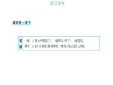 第六单元 习题课件 2021-2022学年部编版语文六年级上册