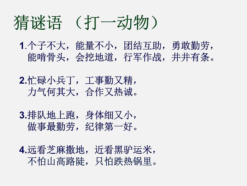 识字5 动物儿歌课件PPT08