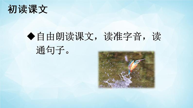部编版 语文三年级上册 15 搭船的鸟 课件+视频04