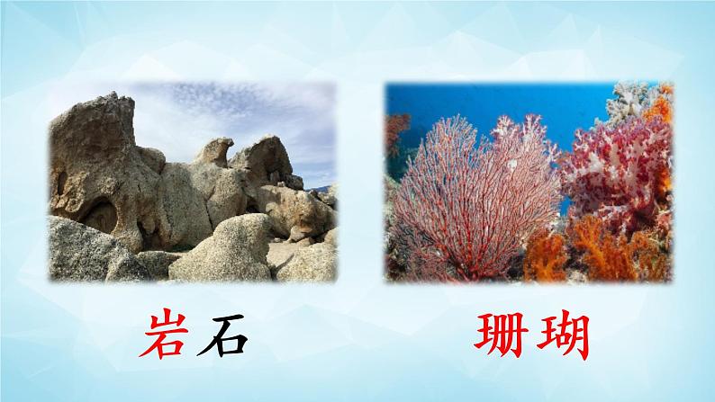 部编版 语文三年级上册 18 富饶的西沙群岛 课件+视频06