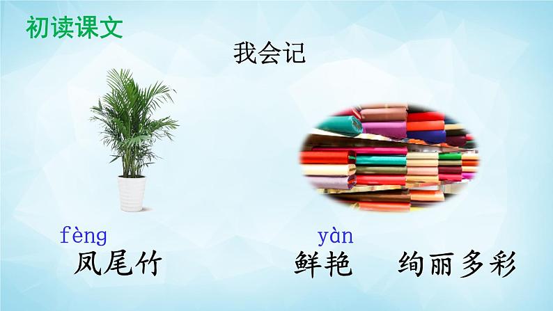 部编版 语文三年级上册 1 大青树下的小学 课件+视频08