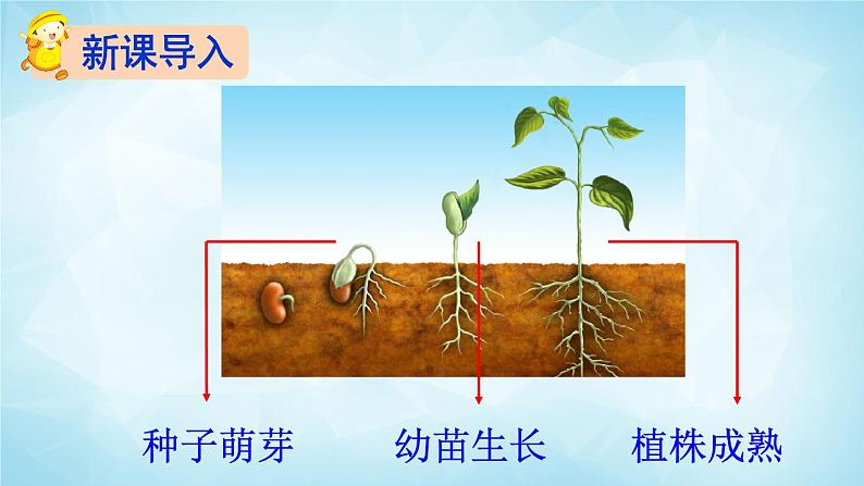 部编版 语文三年级上册 9 那一定会很好 课件02