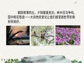 習(xí)作：________即景（課件）