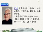 23 鳥(niǎo)的天堂（課件）