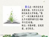 19 父愛之舟（課件）