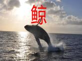 習(xí)作例文（課件）