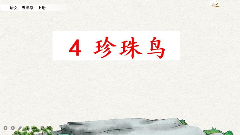 4 珍珠鸟第2页