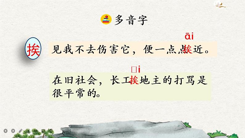 4 珍珠鸟第7页