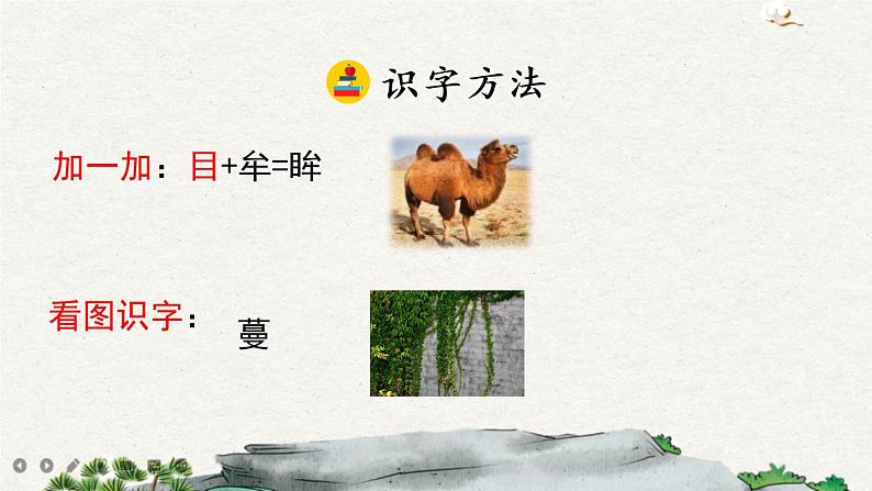 4 珍珠鸟第8页