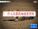 7 什么比獵豹的速度更快（課件）
