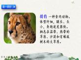 7 什么比獵豹的速度更快（課件）