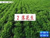 2 落花生（課件）