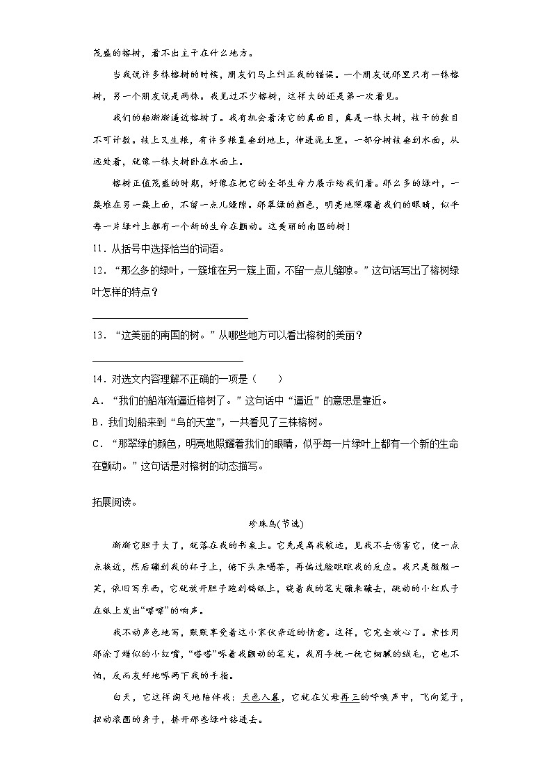 部编版语文五年级上珍珠鸟练习试题03