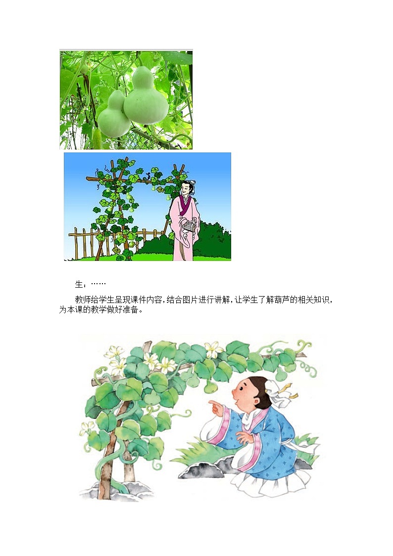 14.我要的是葫芦教案02