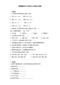 语文五年级上册15* 小岛当堂检测题