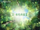 部编版二年级下册语文23 祖先的摇篮（课件+教案+练习含答案）