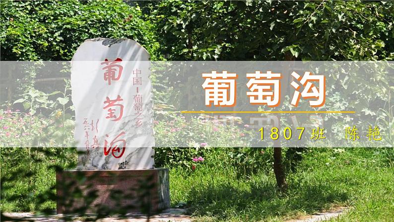 [定]葡萄沟课件PPT01