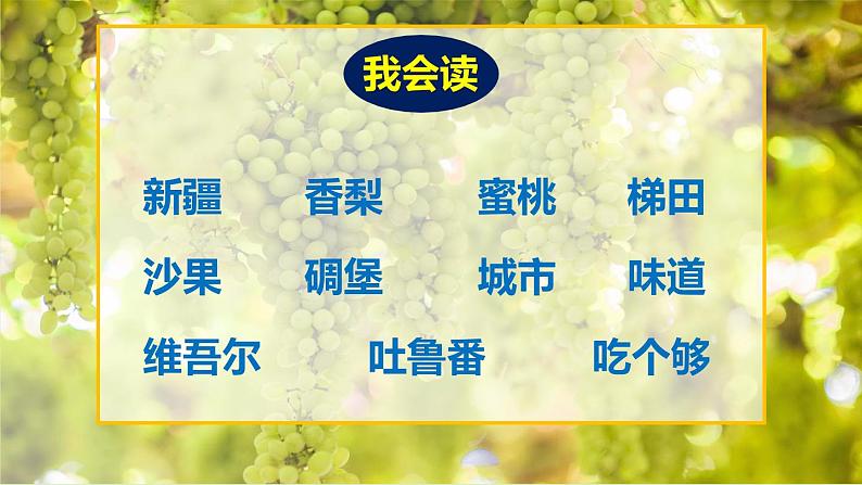 [定]葡萄沟课件PPT05