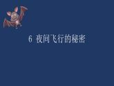 四年级上册 6 夜间飞行的秘密课件PPT