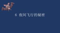 小学语文人教部编版四年级上册6 夜间飞行的秘密多媒体教学课件ppt