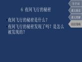 四年级上册 6 夜间飞行的秘密课件PPT
