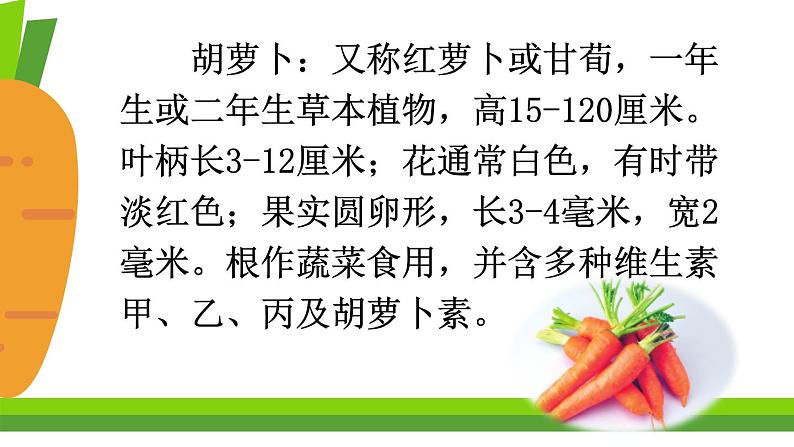 部编版三年级语文上册13＊胡萝卜先生的长胡子课件PPT第2页