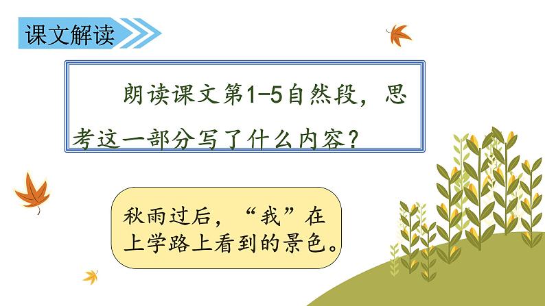 部编版三年级语文上册5铺满金色巴掌的水泥道第二课时课件PPT04