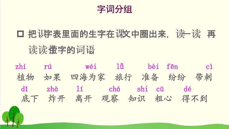 2021～2022学年小学语文人教部编版 二年级上册 3 植物妈妈有办法课件第4页