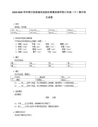 2019-2020学年四川省成都市武侯区西蜀实验学校六年级（下）期中语文试卷