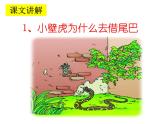 部编版小学语文一年级下册 课文 21 小壁虎借尾巴 课件