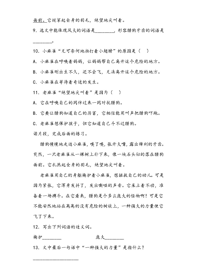 步步为营——部编版语文四年级上麻雀同步练习（无答案）03
