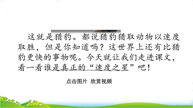 部编版小学语文五年级上册第2单元7 什么比猎豹的速度更快课件PPT01