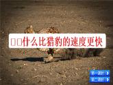 部编版小学语文五年级上册第2单元7 什么比猎豹的速度更快课件PPT