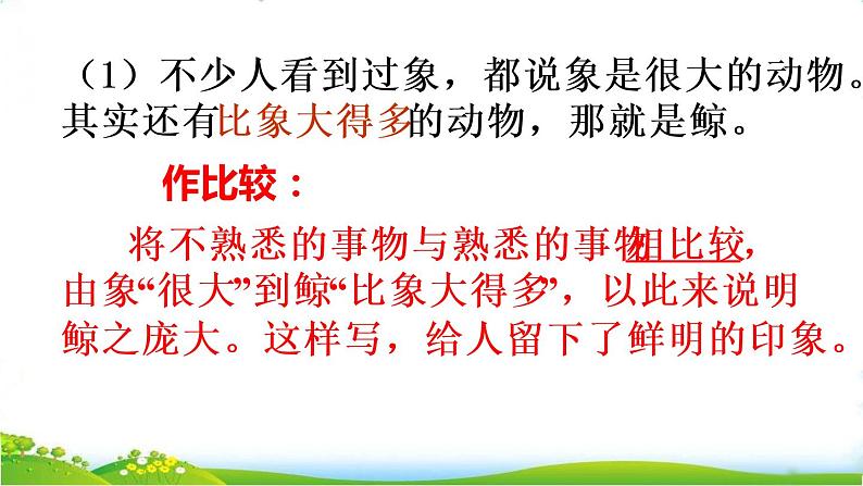 部编版小学语文五年级上册第5单元习作例文：《鲸》《风向袋的制作》课件PPT第6页