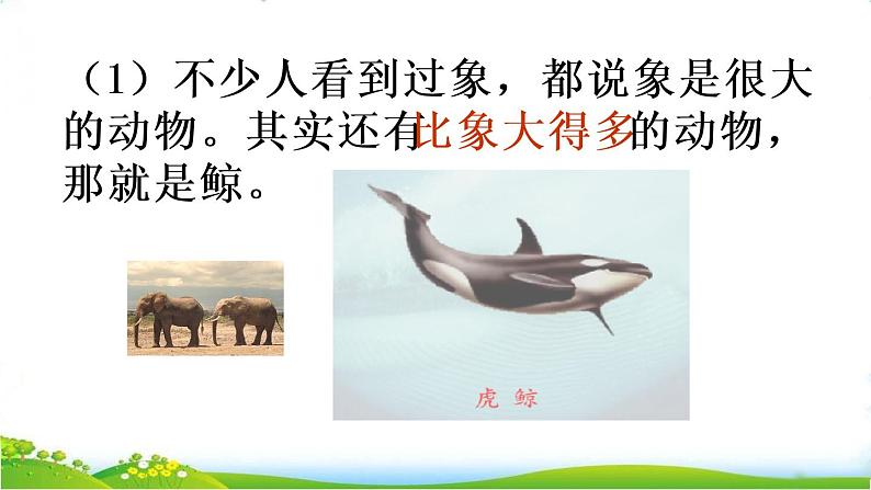 部编版小学语文五年级上册第5单元习作例文：《鲸》《风向袋的制作》课件PPT第7页
