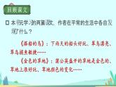 2021～2022学年小学语文人教部编版 三年级上册第五单元交流平台与初试身手 课件