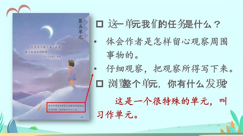 2021～2022学年小学语文人教部编版 三年级上册 15 搭船的鸟 课件03