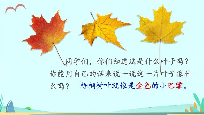 2021～2022学年小学语文人教部编版 三年级上册 5 铺满金色巴掌的水泥道 课件第3页