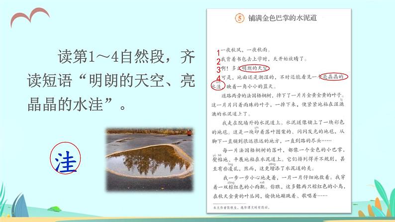 2021～2022学年小学语文人教部编版 三年级上册 5 铺满金色巴掌的水泥道 课件第6页