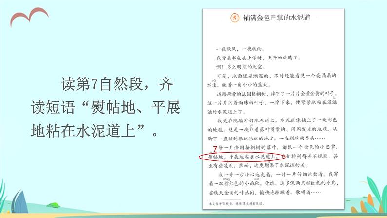 2021～2022学年小学语文人教部编版 三年级上册 5 铺满金色巴掌的水泥道 课件第8页