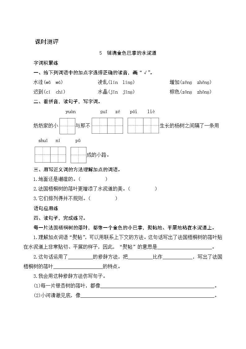 5《铺满金色巴掌的水泥道》课时测评01