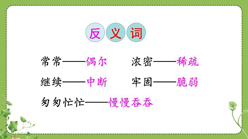 部编版三年级语文上册13胡萝卜先生的长胡子课件（33张PPT)08