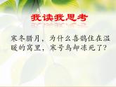 部编版语文二年级上册《13 寒号鸟》 课件
